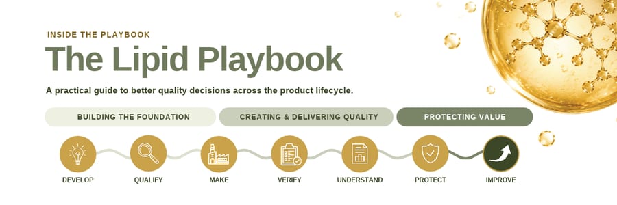 The Lipid Playbook at a glance: seven stages &mdash; Develop, Qualify, Make, Verify, Understand, Protect and Improve &mdash; under three phases: building the foundation, creating and delivering quality, and protecting value. Every stage is set out as text in the playbook.
