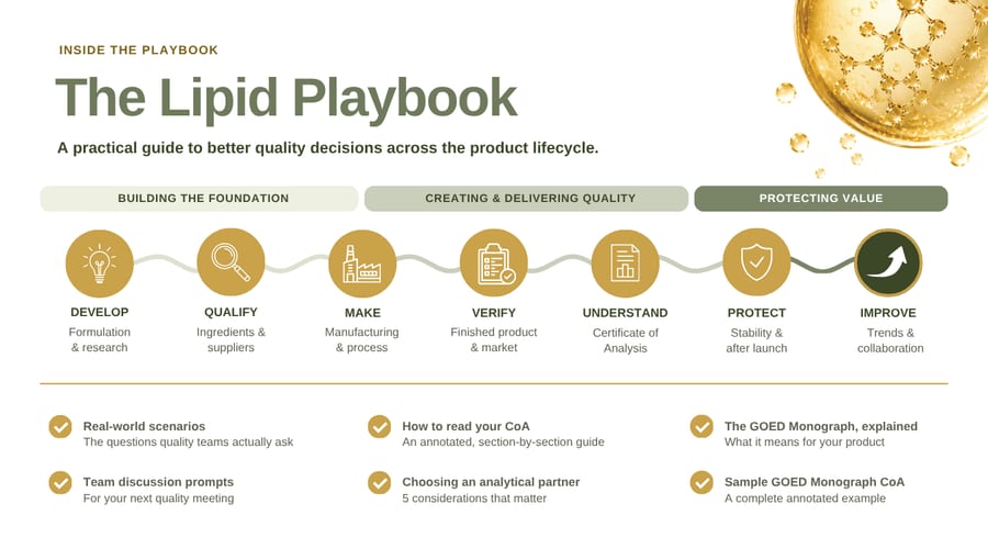 The Lipid Playbook at a glance: seven stages in three phases — Develop and Qualify; Make, Verify and Understand; Protect and Improve — and six things inside it, all set out as text on this page.